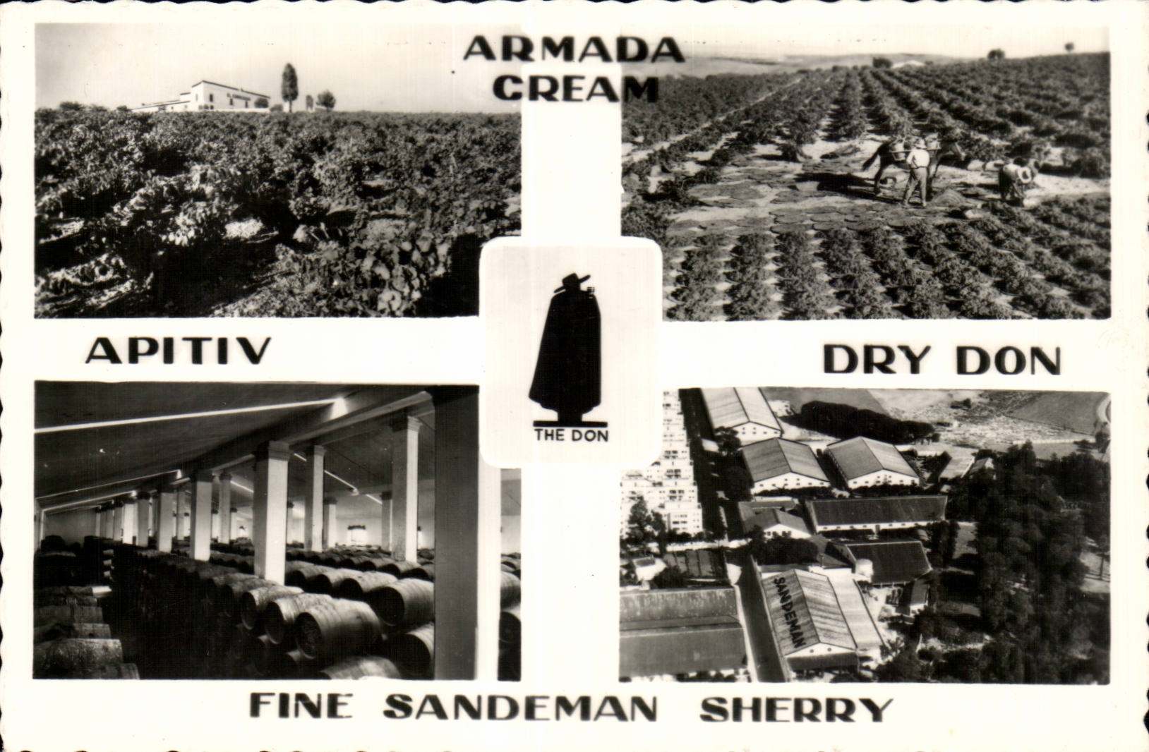 CPSM Aramada Cream Apitiv Dry Gift Fine Sandeman Sherry Vineyard Wine Alcohol