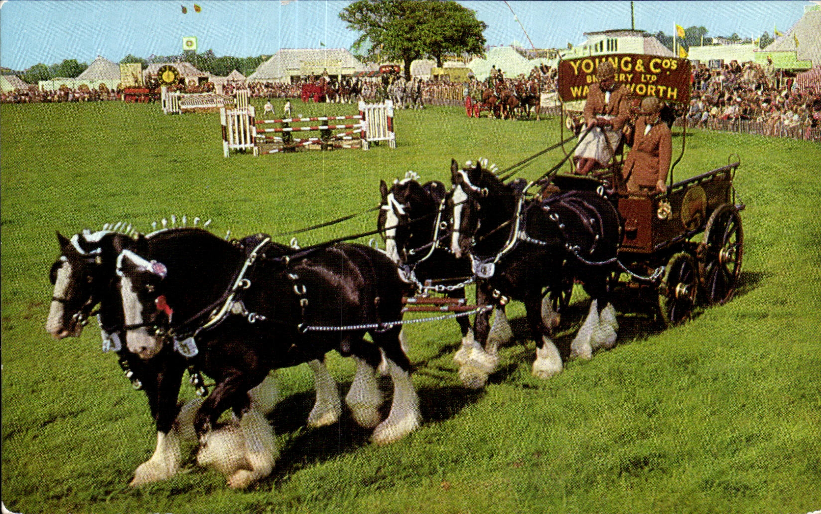 CPSM Barouche Horse Horse