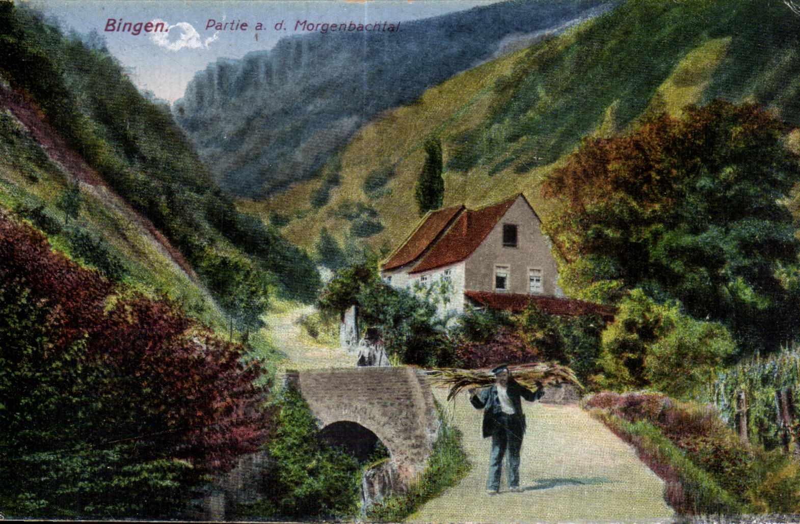 CPA Bingen Partie a d Morgenbacatal