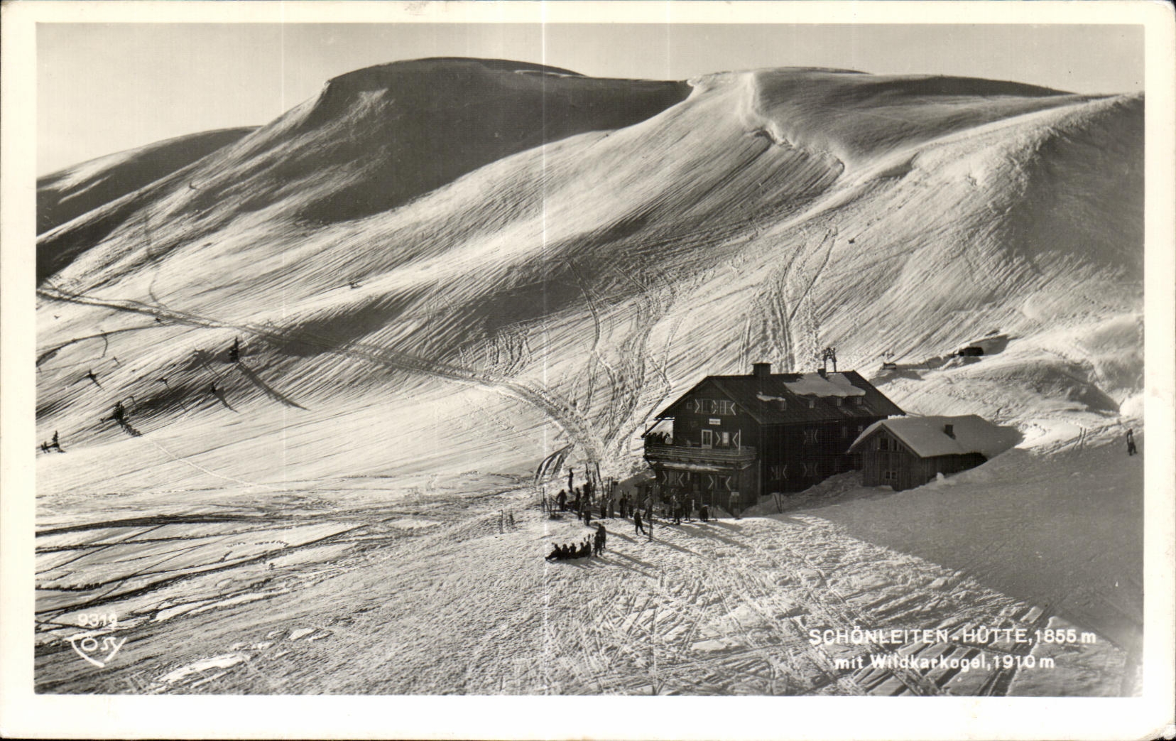 CPA Schonleiten Hottee puts Wlldkatkegel