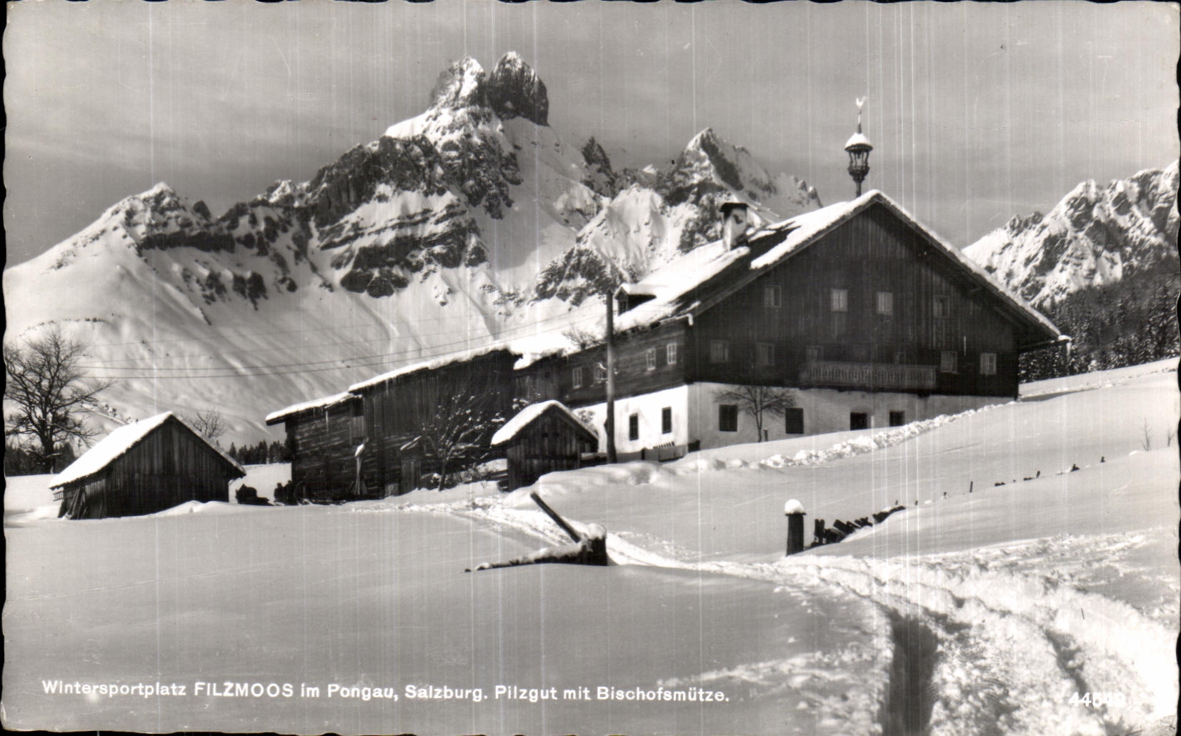 CPA Wintersportpintz Filzmoos Im Pohgau Saizburg Pilzgut put Biachoternutzo