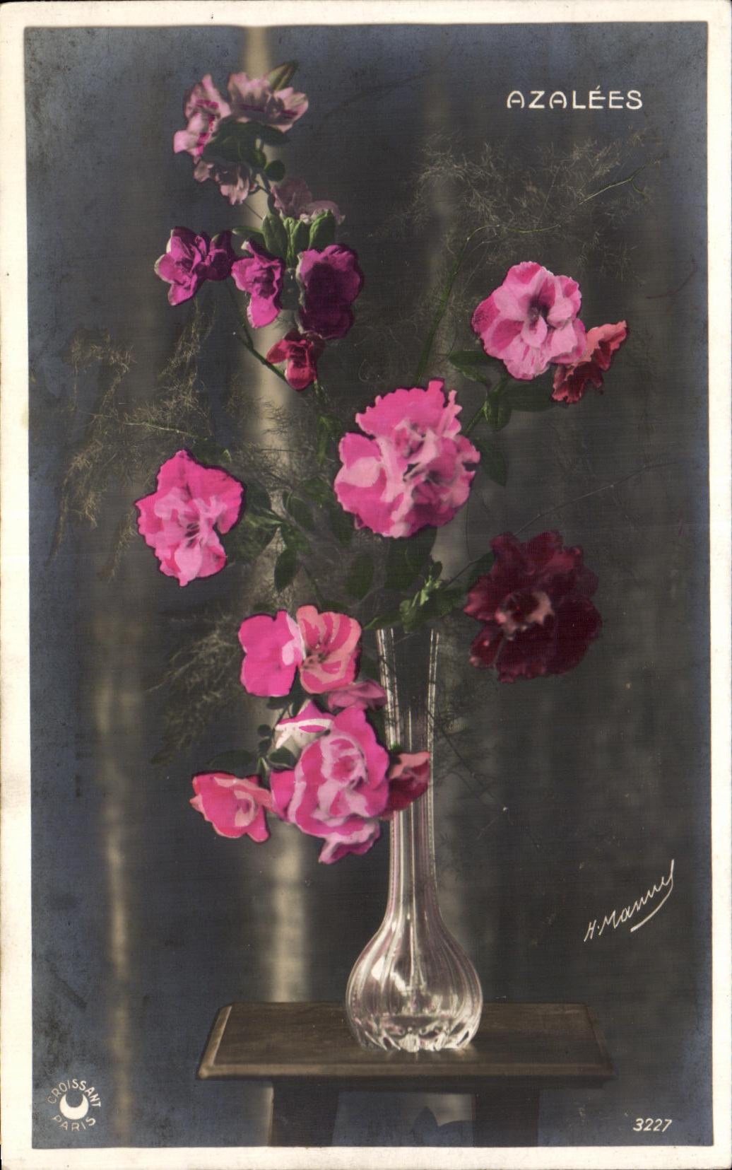 CPA Fantaisie Fleurs Azalees