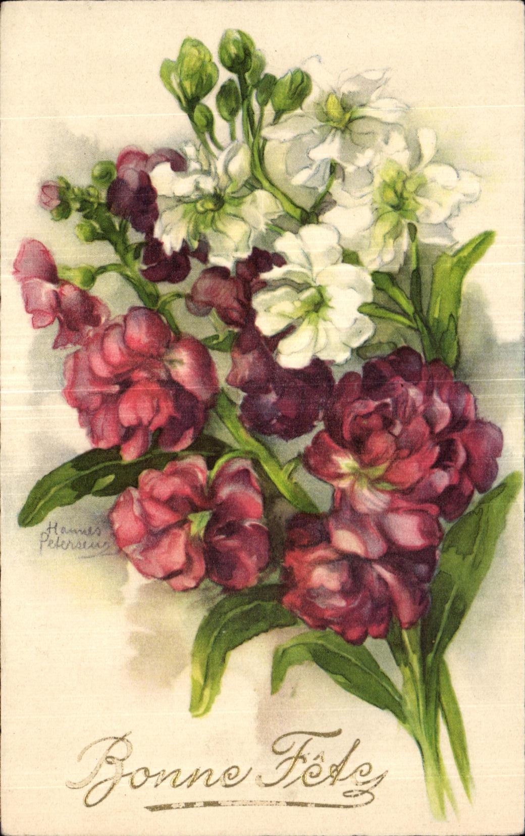 Flores de la fantasia de CPA