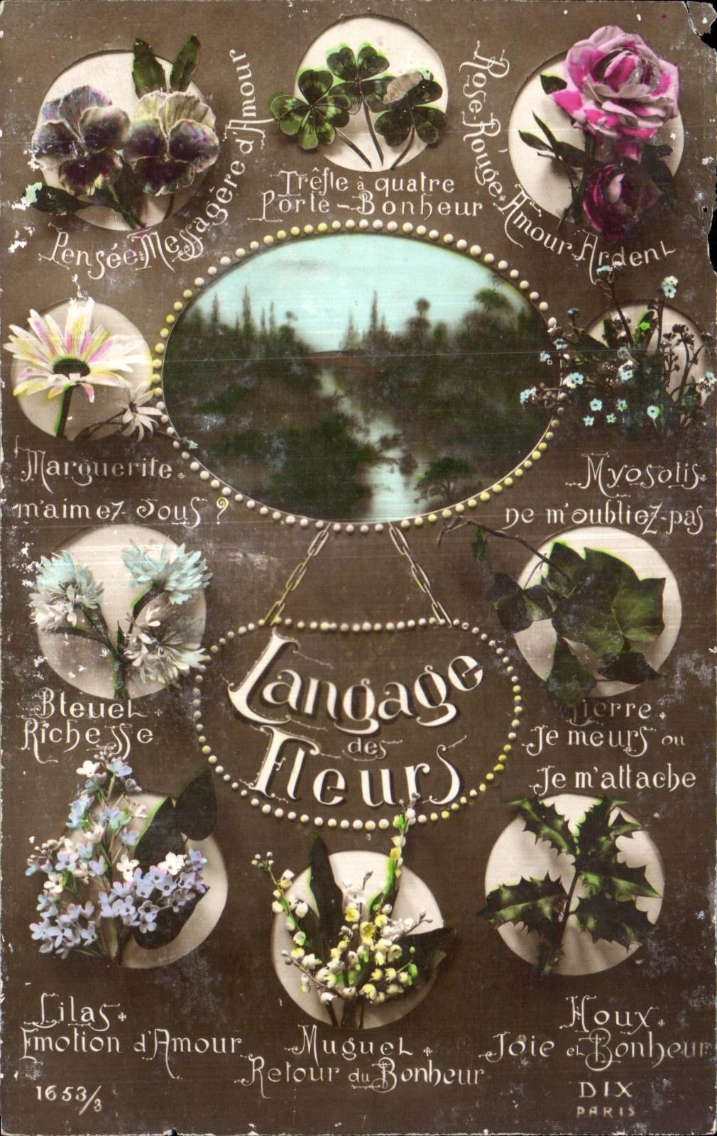 La fantasia de CPA florece la lengua de las flores