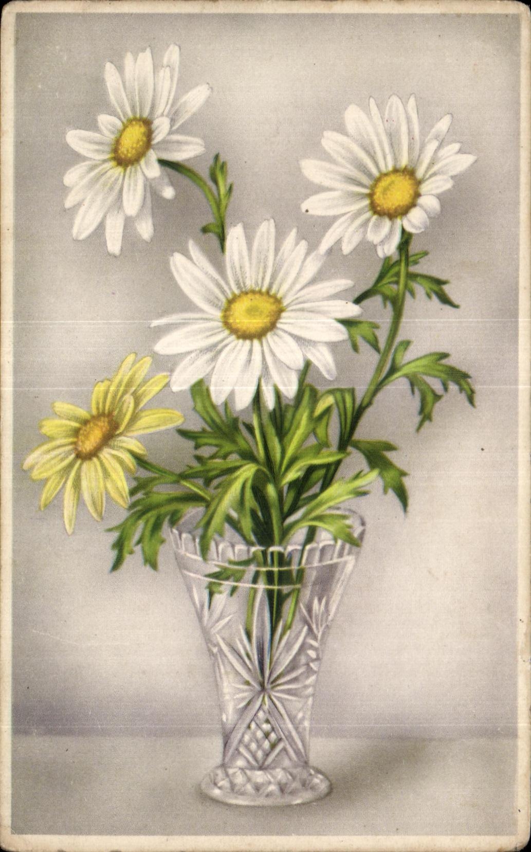 Flores de la fantasia de CPA