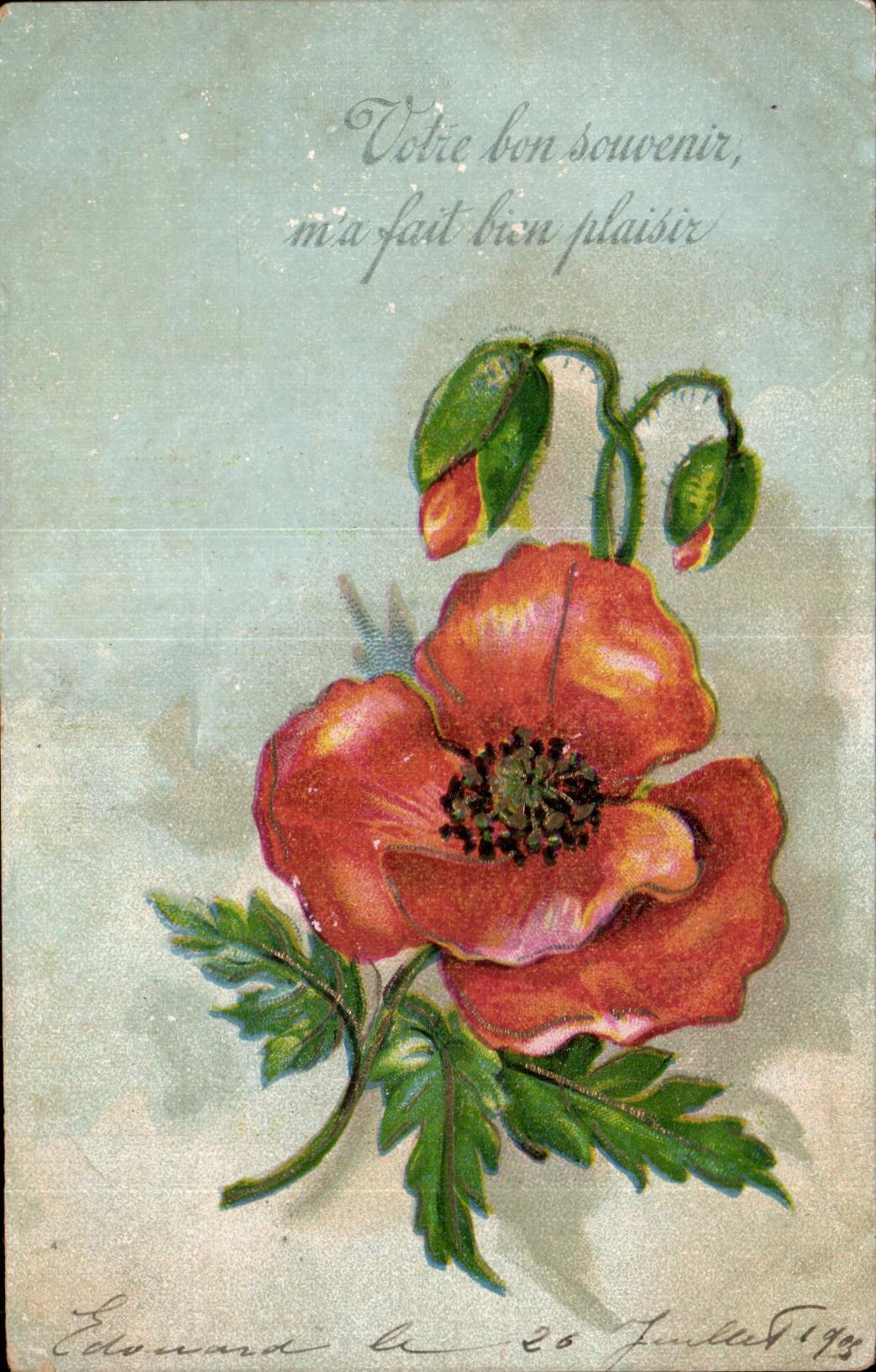 Flores de la fantasia de CPA