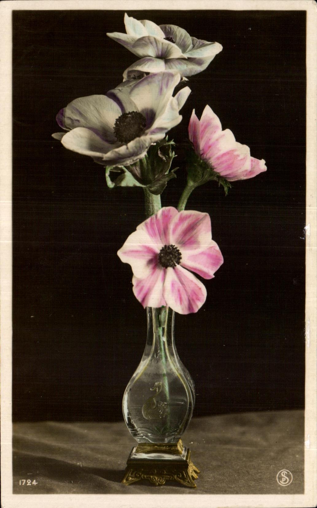 Flores de la fantasia de CPA