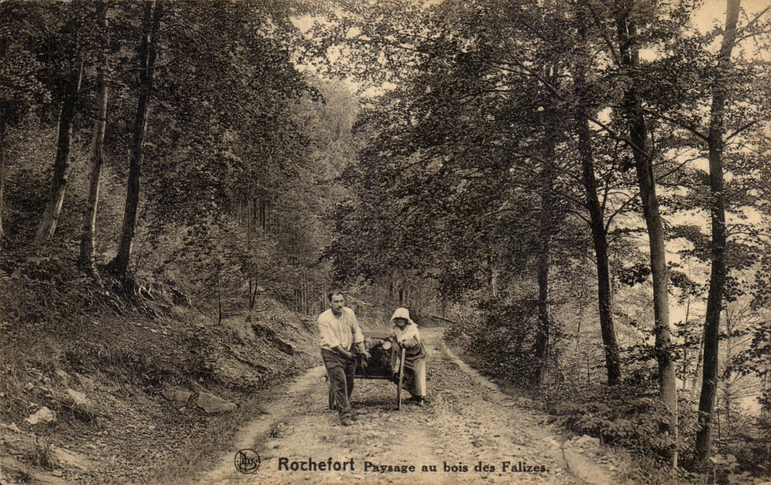 CPA Rochefort Landscape with the wood of the falizes