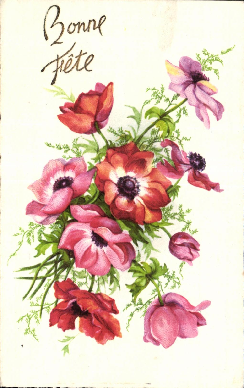 Flor de la fantasia de CPA