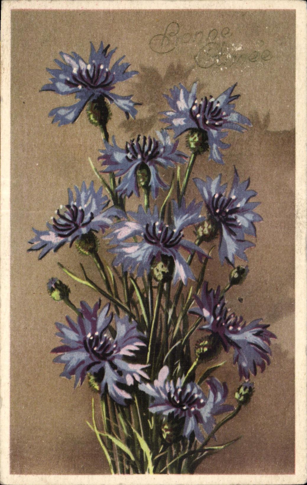 Flor de la fantasia de CPA