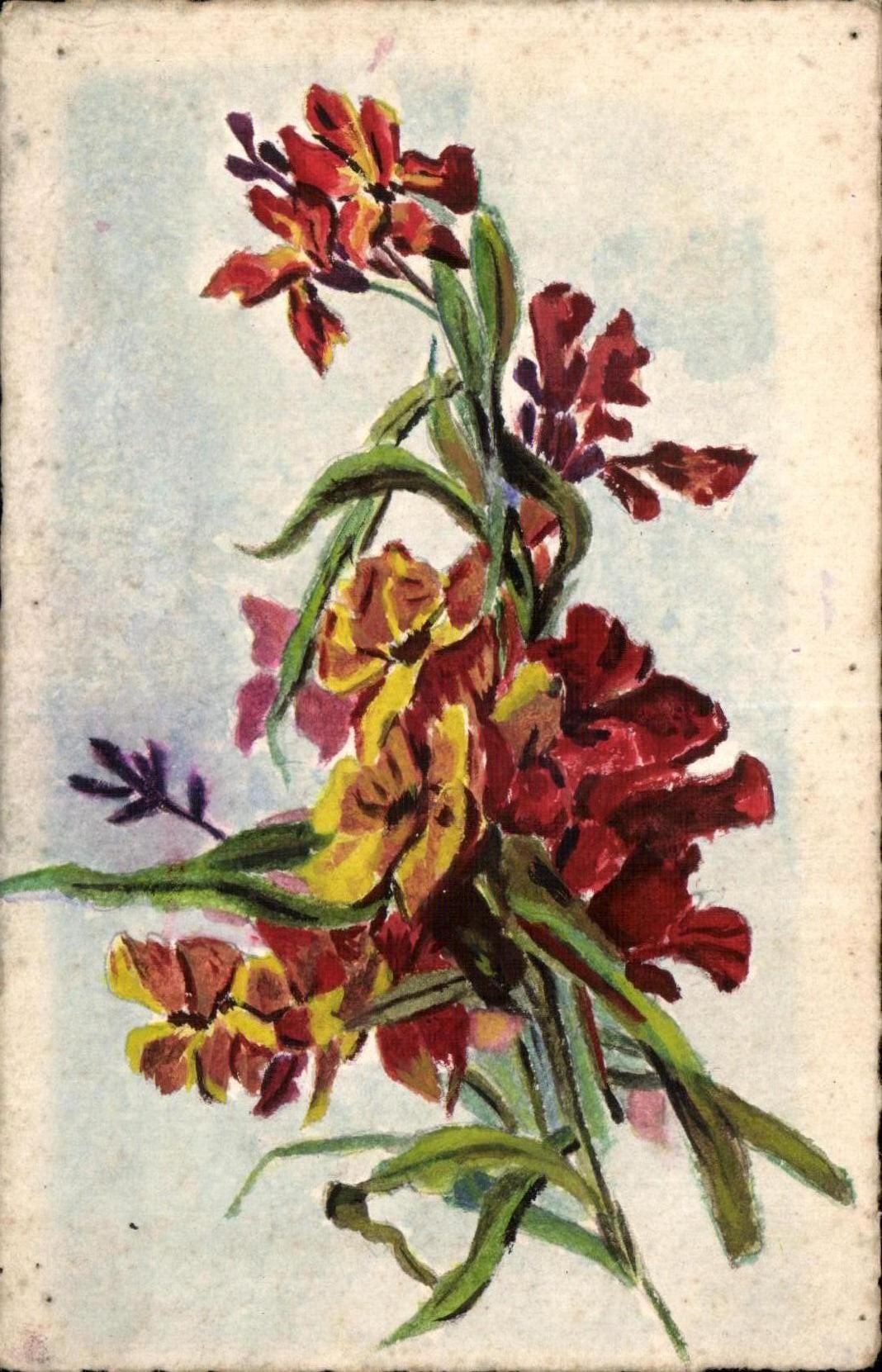 Flor de la fantasia de CPA