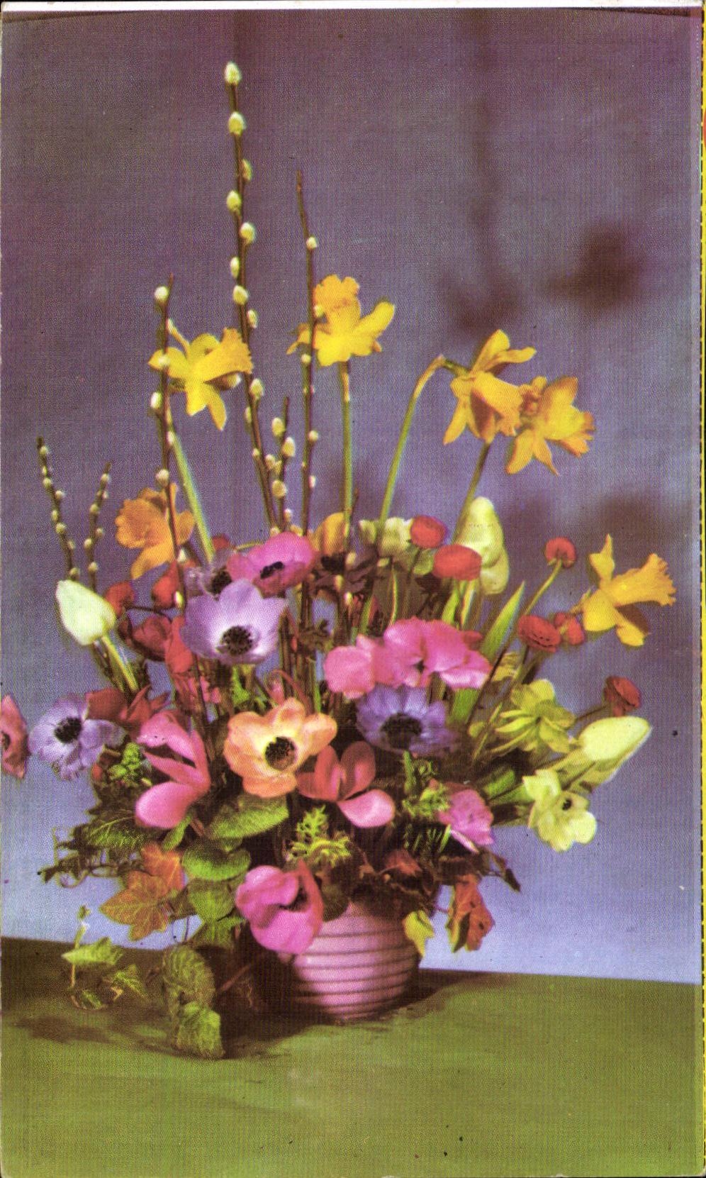 Flor de la fantasia de CPA