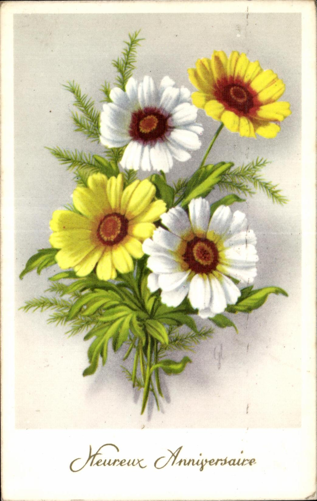 Flor de la fantasia de CPA