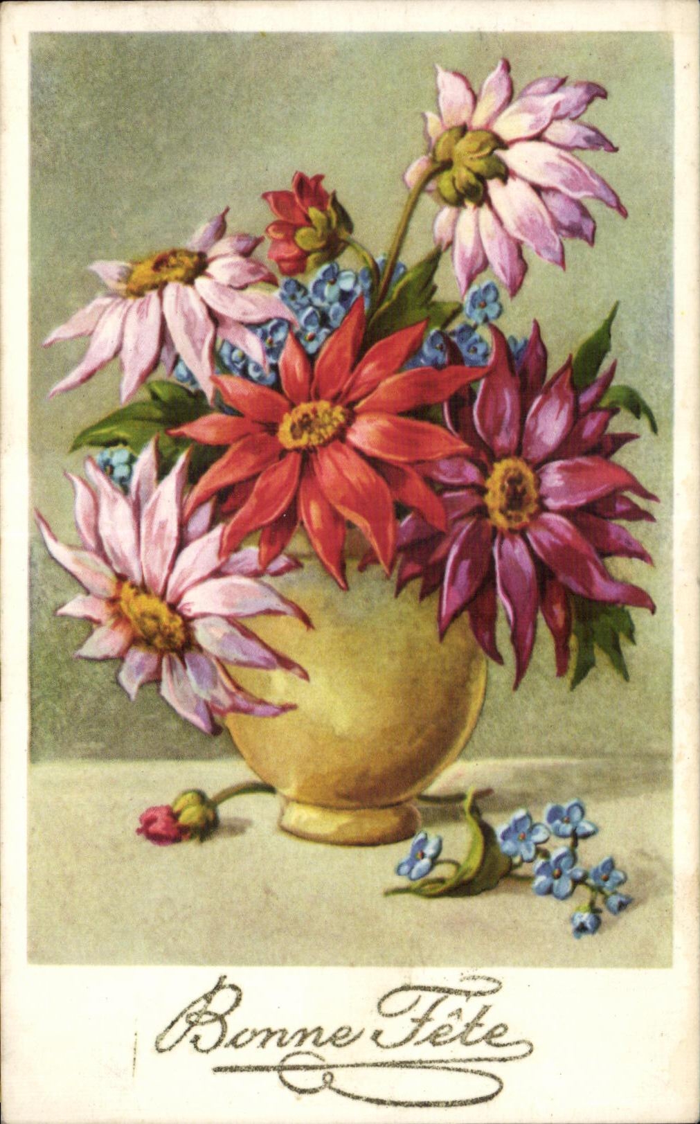 Flor de la fantasia de CPA