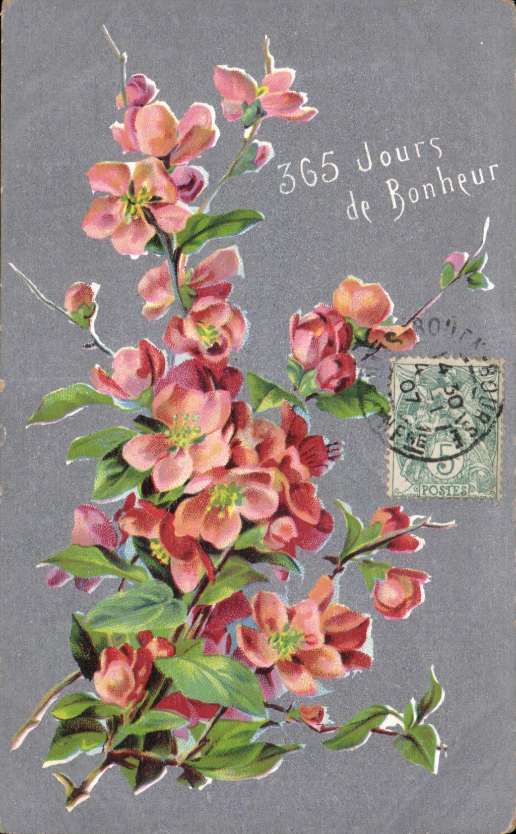 Flor de la fantasia de CPA