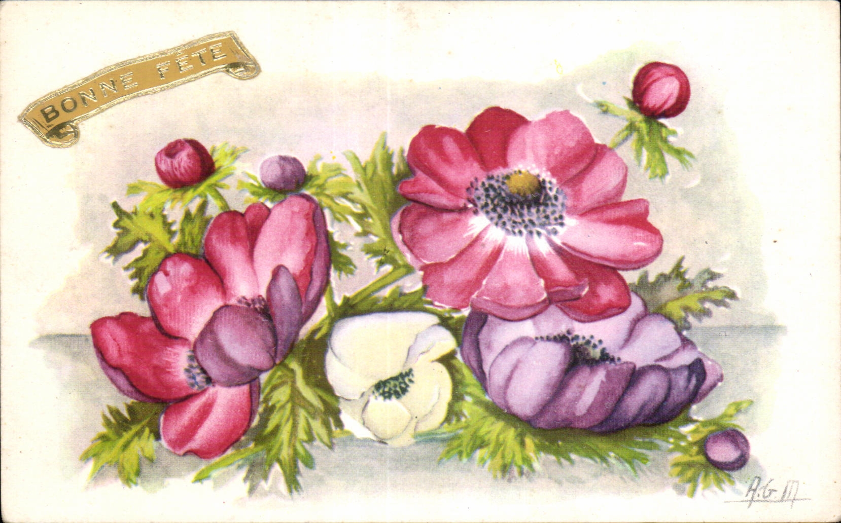 Flor de la fantasia de CPA