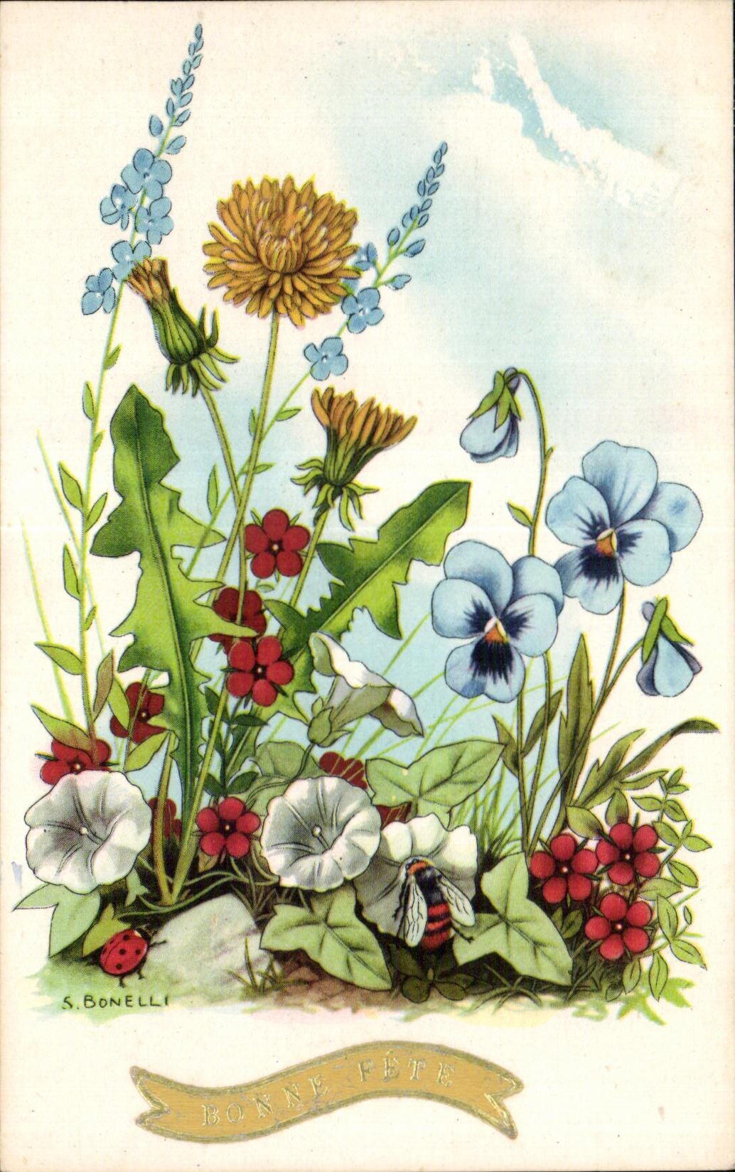 Flor de la fantasia de CPA