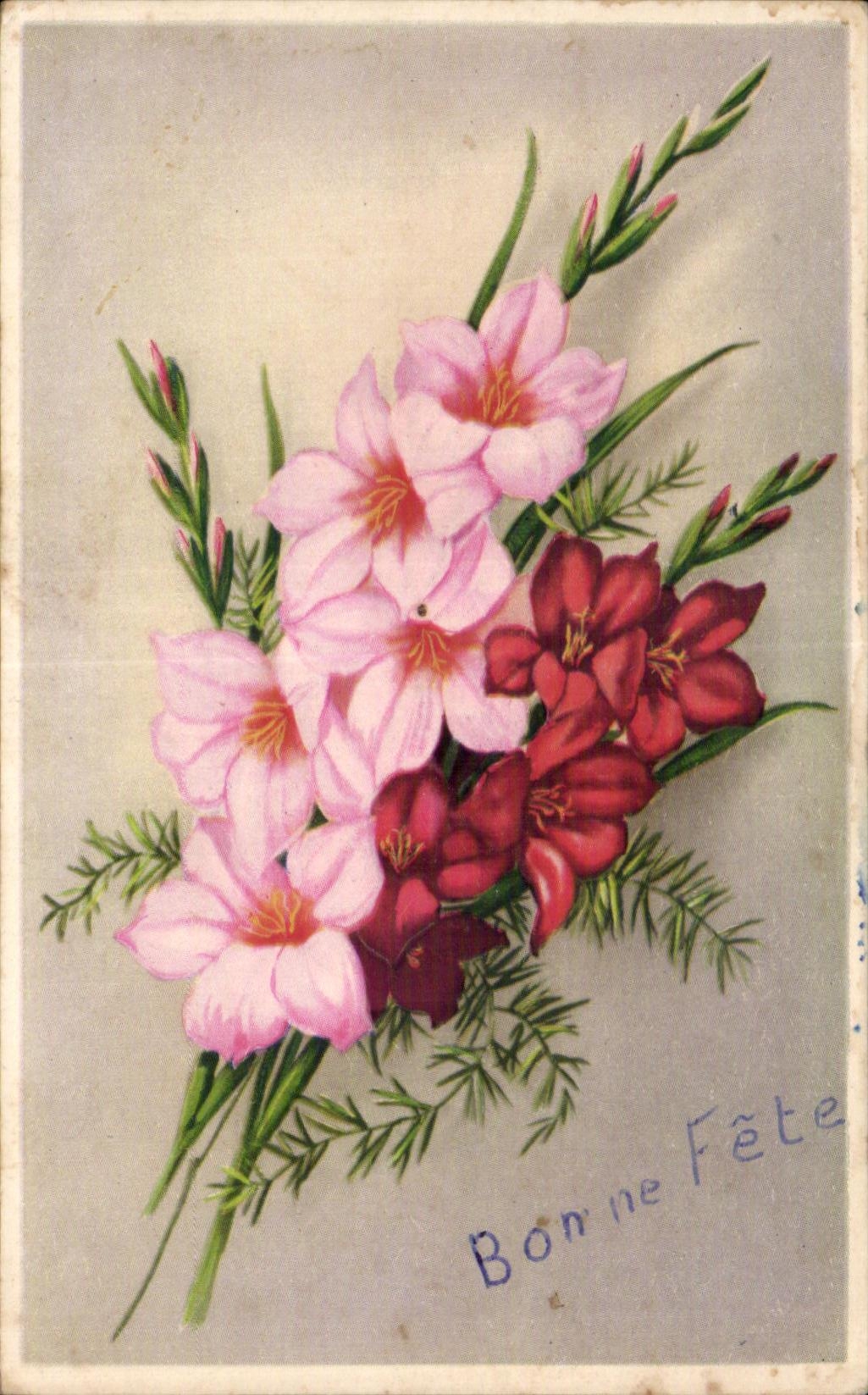 Flor de la fantasia de CPA