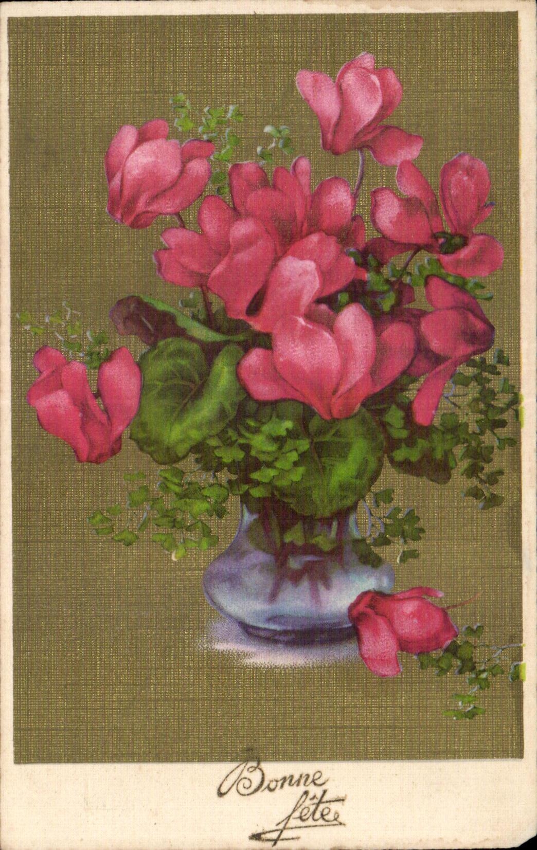 Flor de la fantasia de CPA