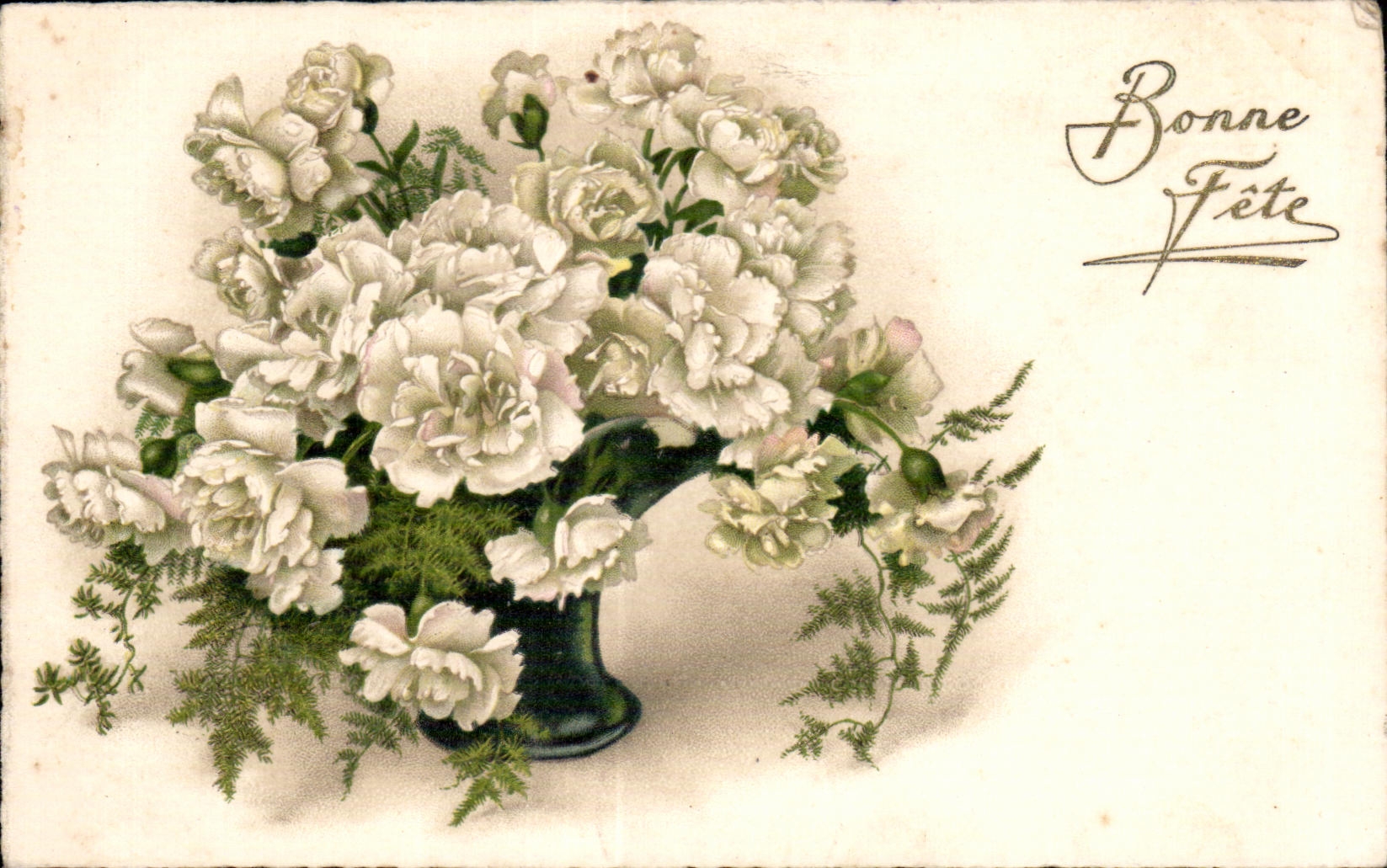 Flor de la fantasia de CPA