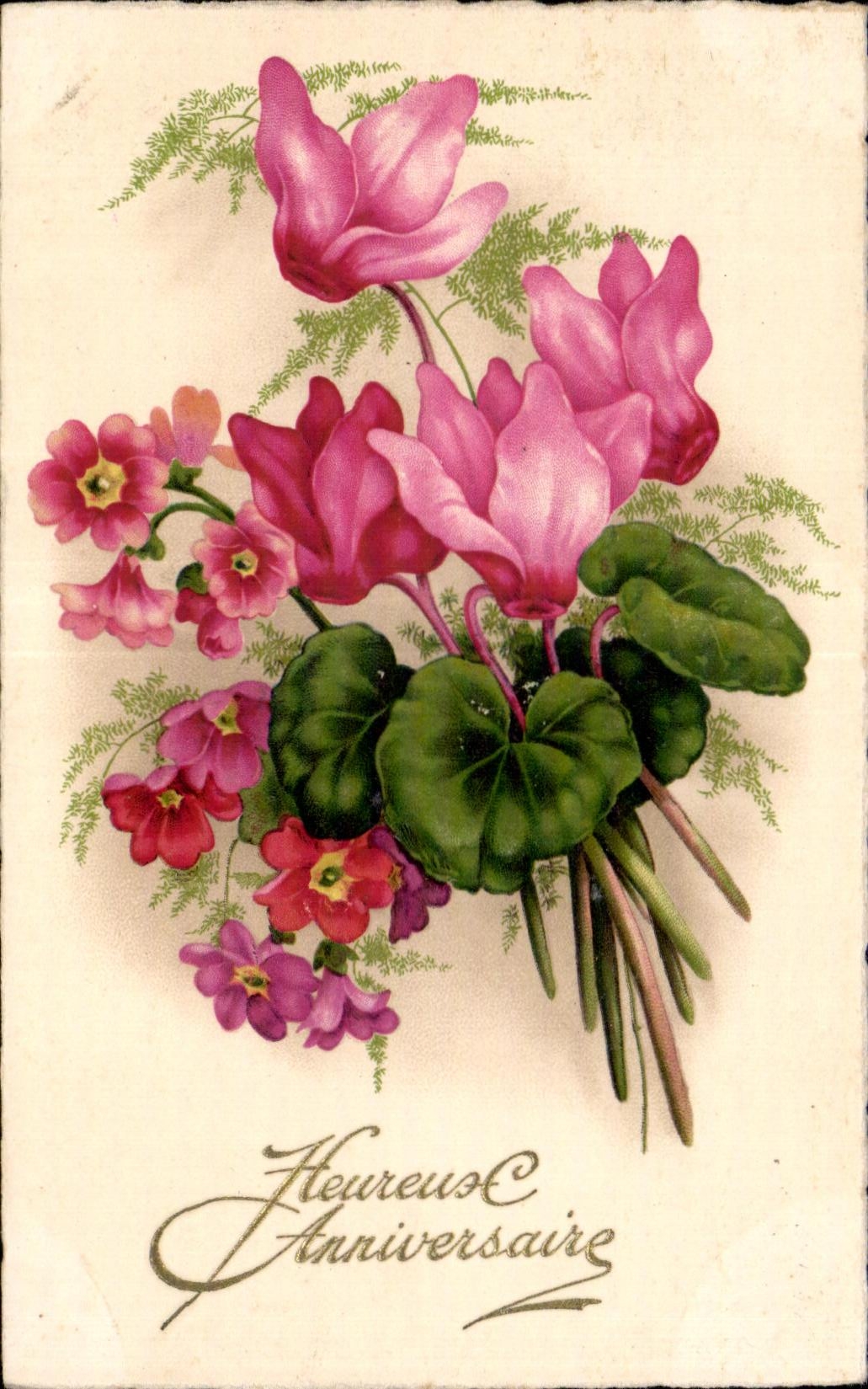 Flor de la fantasia de CPA