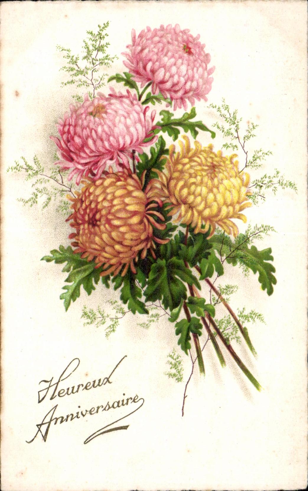 Flor de la fantasia de CPA