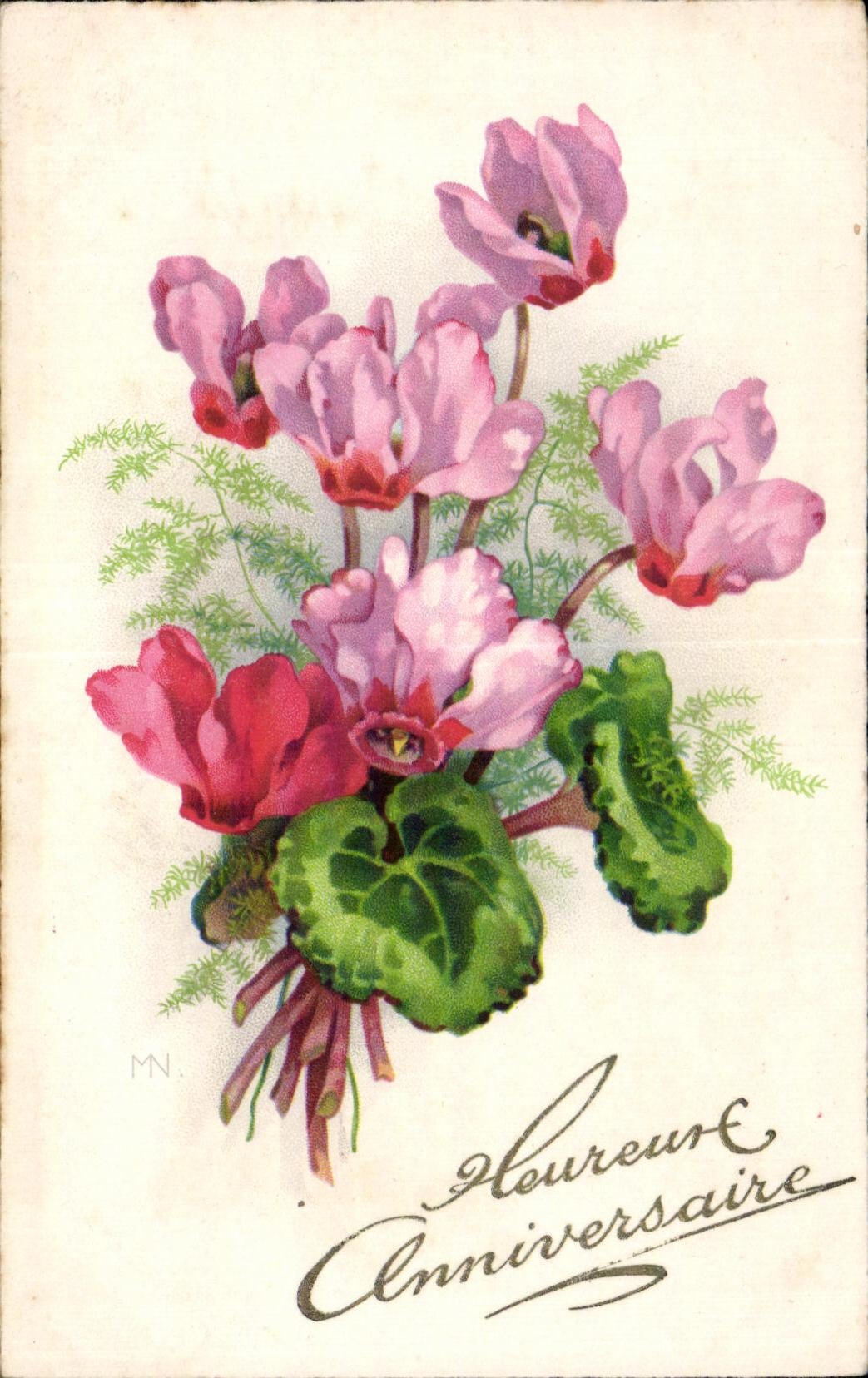 Flor de la fantasia de CPA