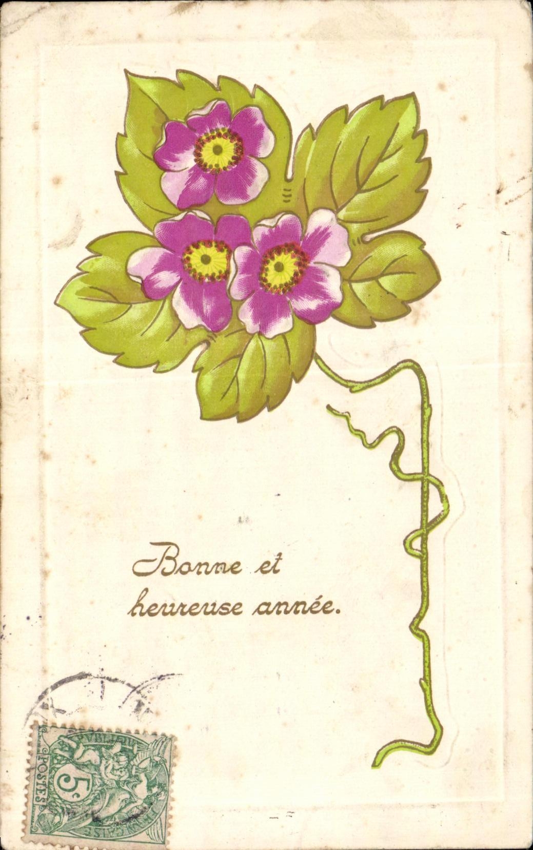 Flor de la fantasia de CPA