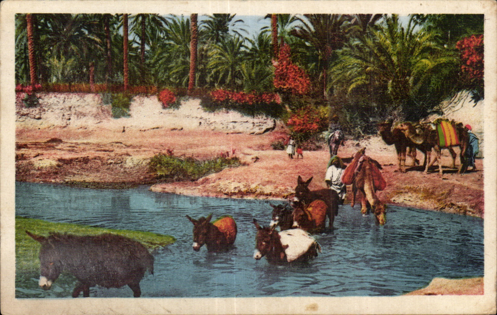 CPA Algeria Scenes and Standard Passage of I Ouad ass Donkey