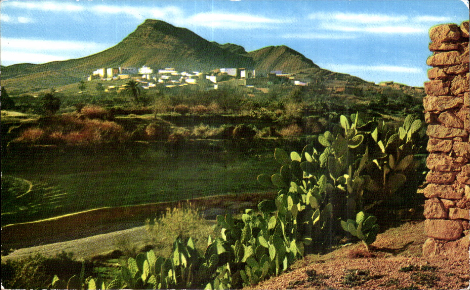 CPA Bou Saada Le Ville Saigre et El Hamel