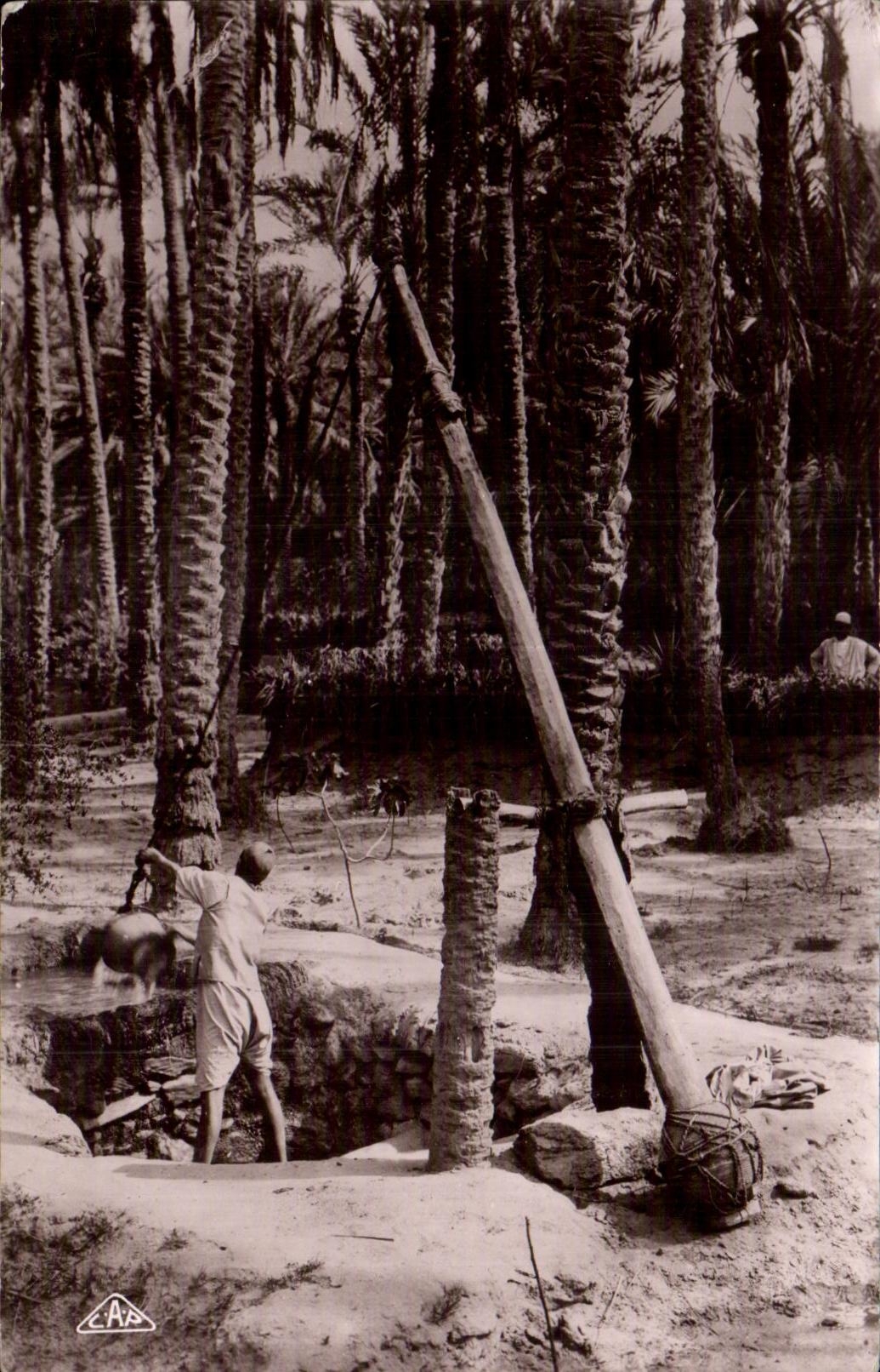 CPA Argelia bien adentro un oasis de I