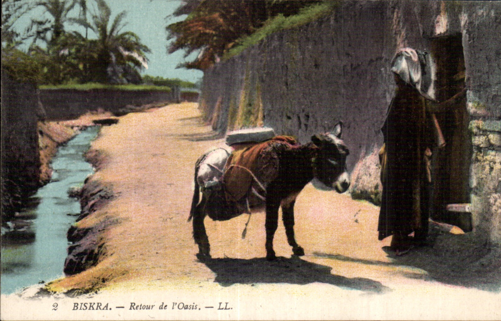CPA Algeria Biskra Return of I Oasis Ass Donkey