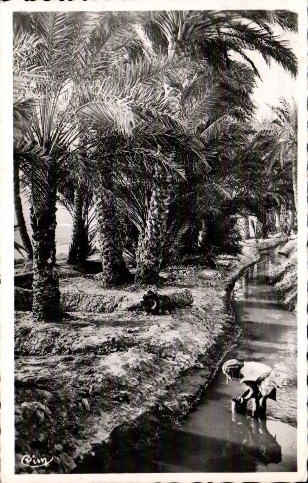 Oasis I de CPA Bou Saada Argel adentro