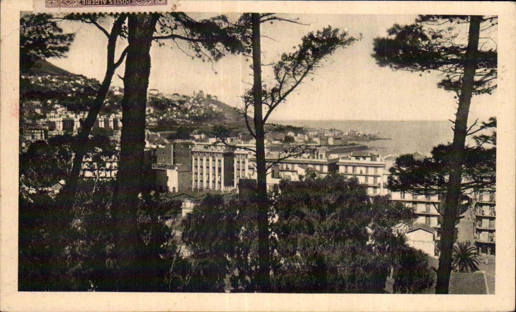 CPA Argel un escape en Ia Ville y Notre Dame Africa