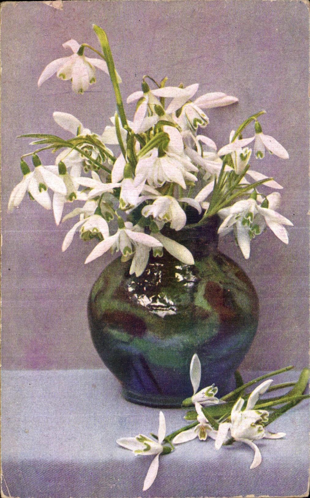 Flores de la fantasia de CPA