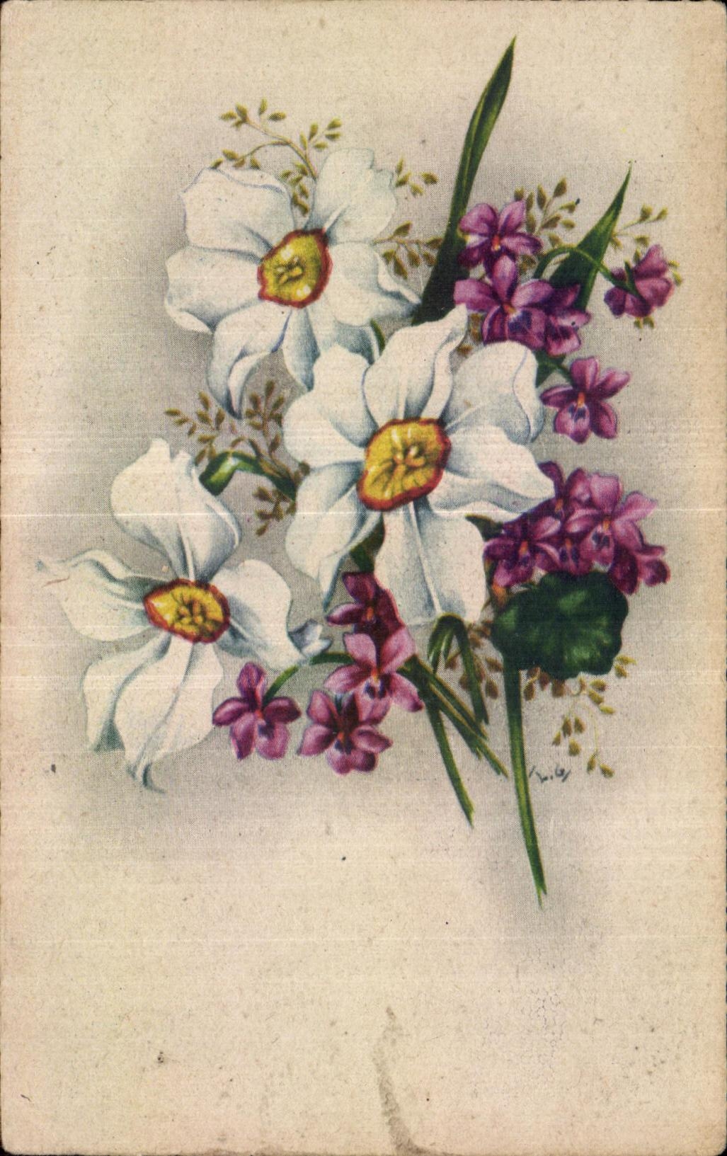 Flores de la fantasia de CPA