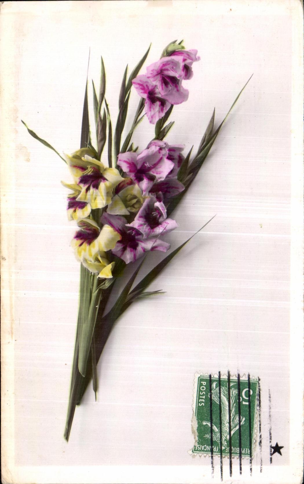 Flores de la fantasia de CPA