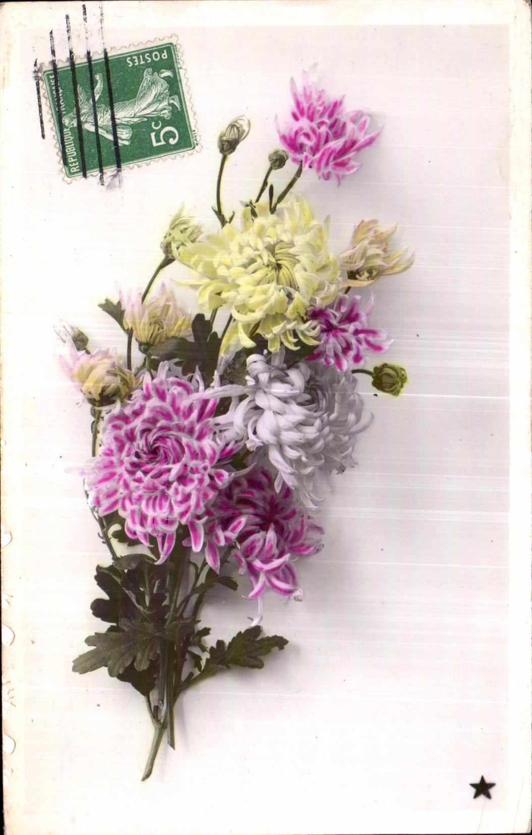 Flores de la fantasia de CPA