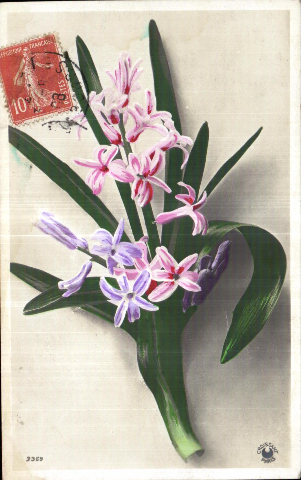 Flores de la fantasia de CPA