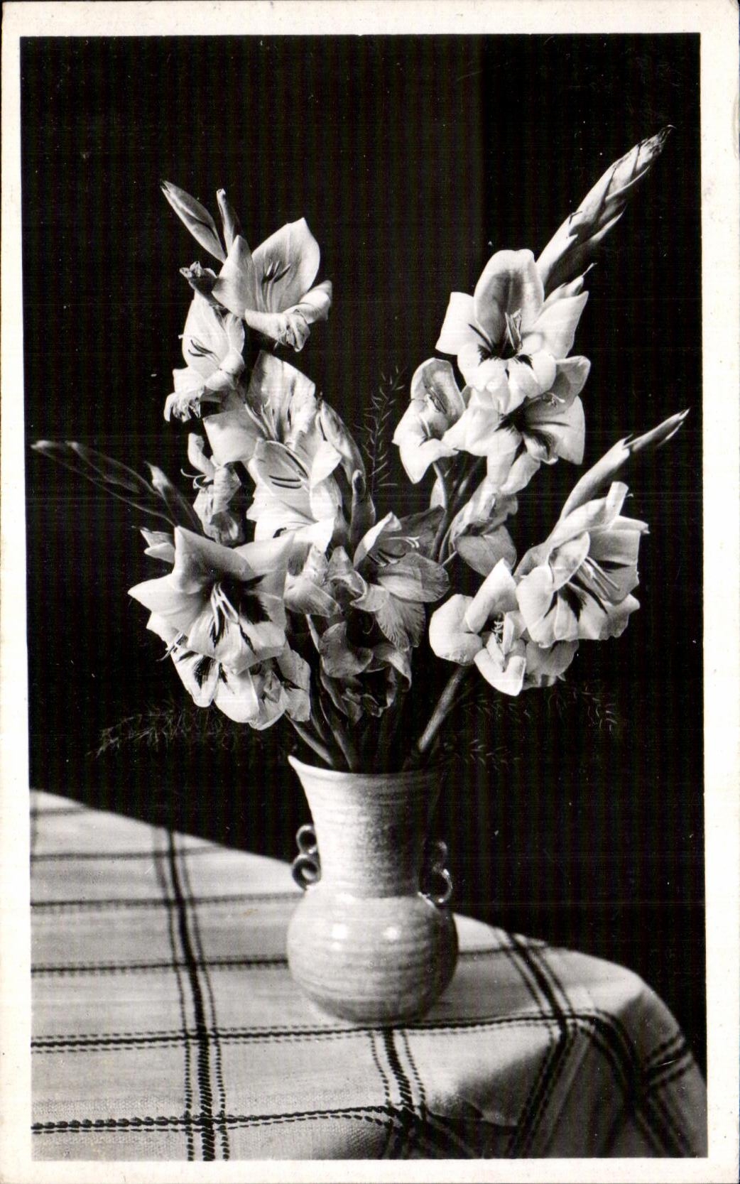 Flores de la fantasia de CPA