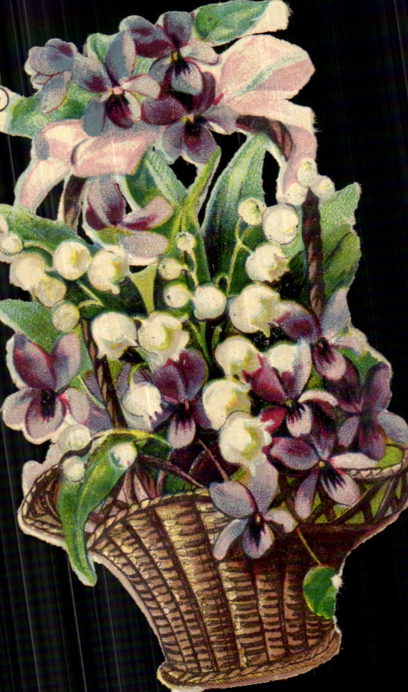 Flores de la fantasia de CPA