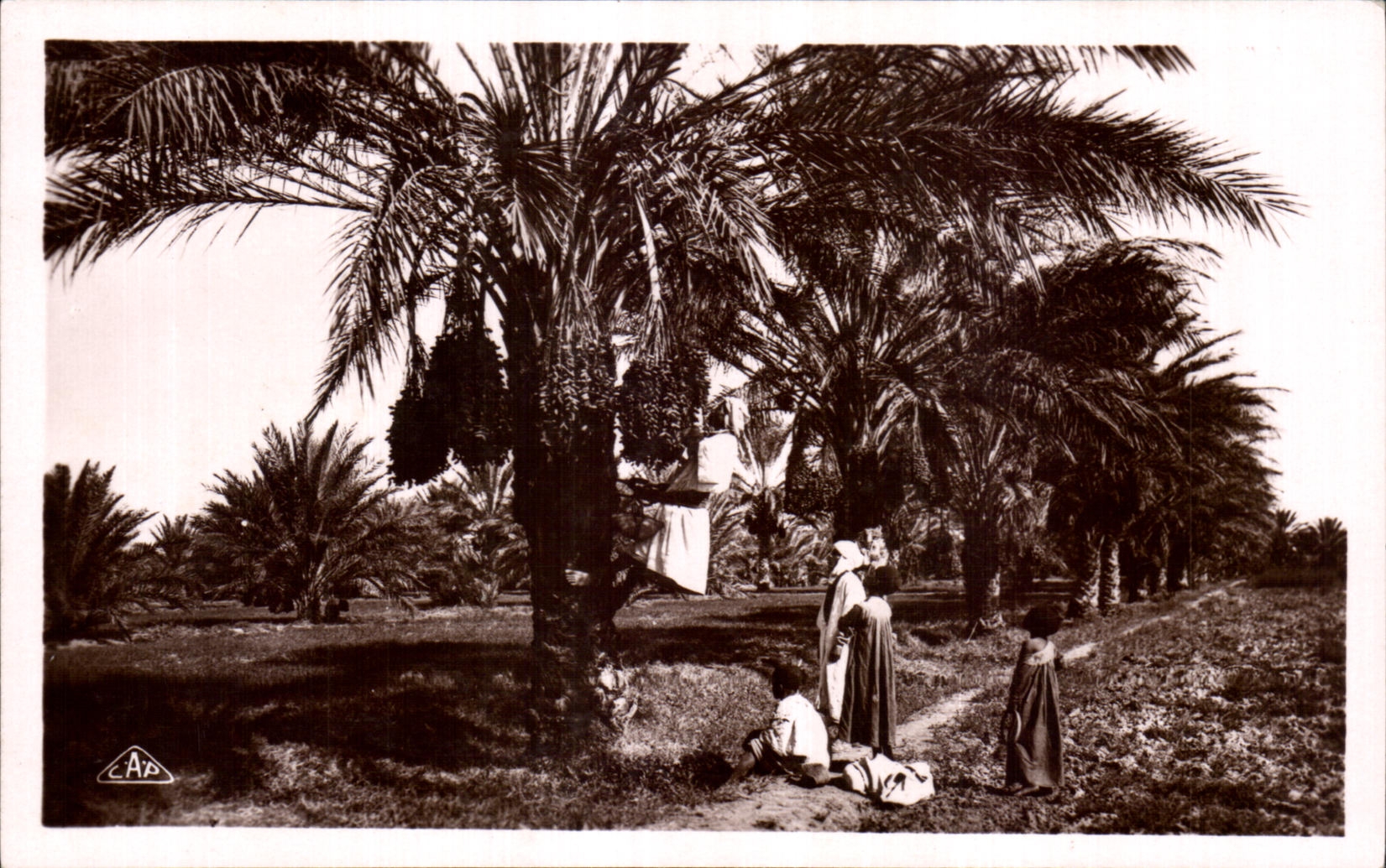 CPA Argelia la reunion de fechas