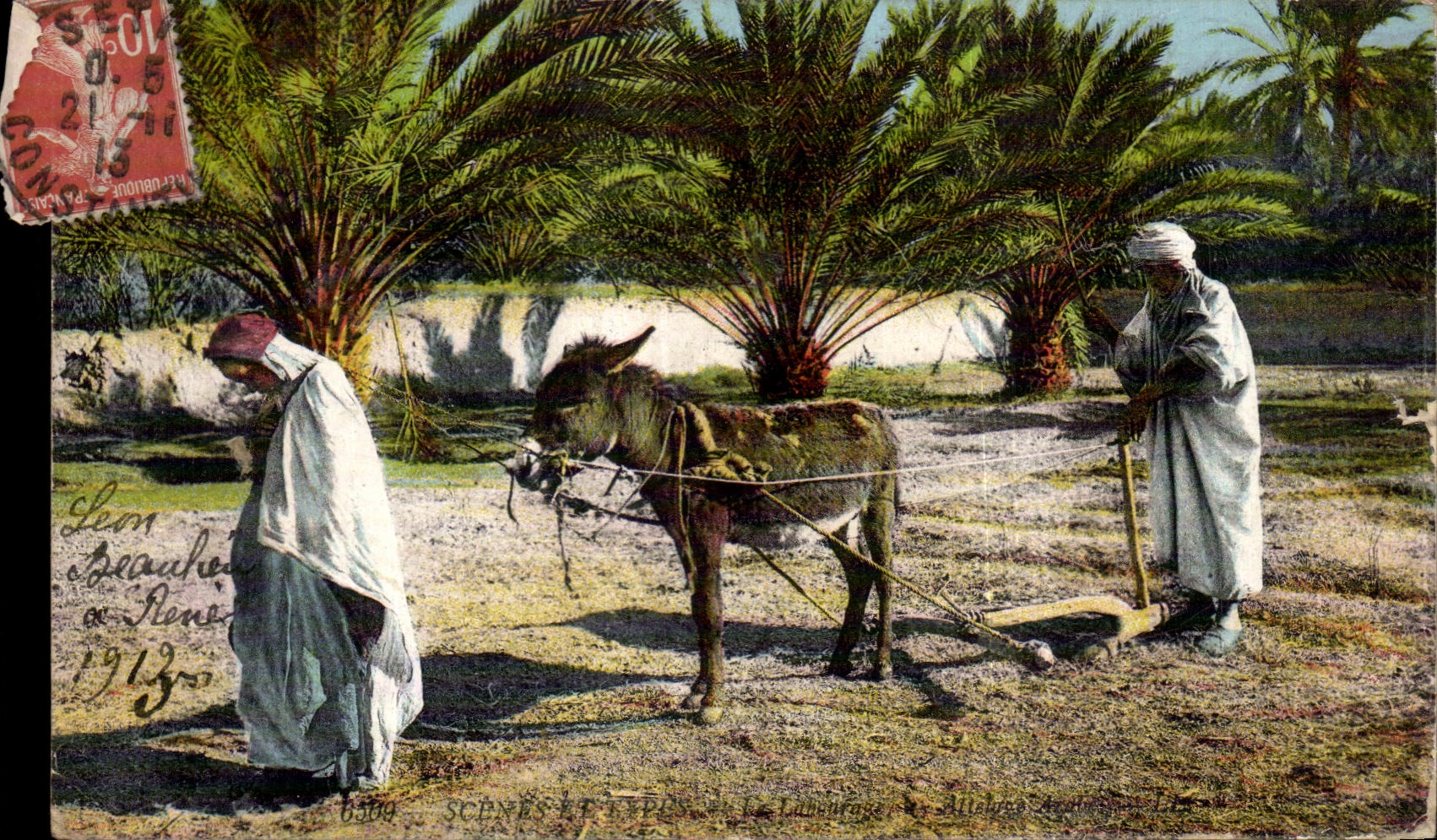 CPA Algeria Coach ass Donkey