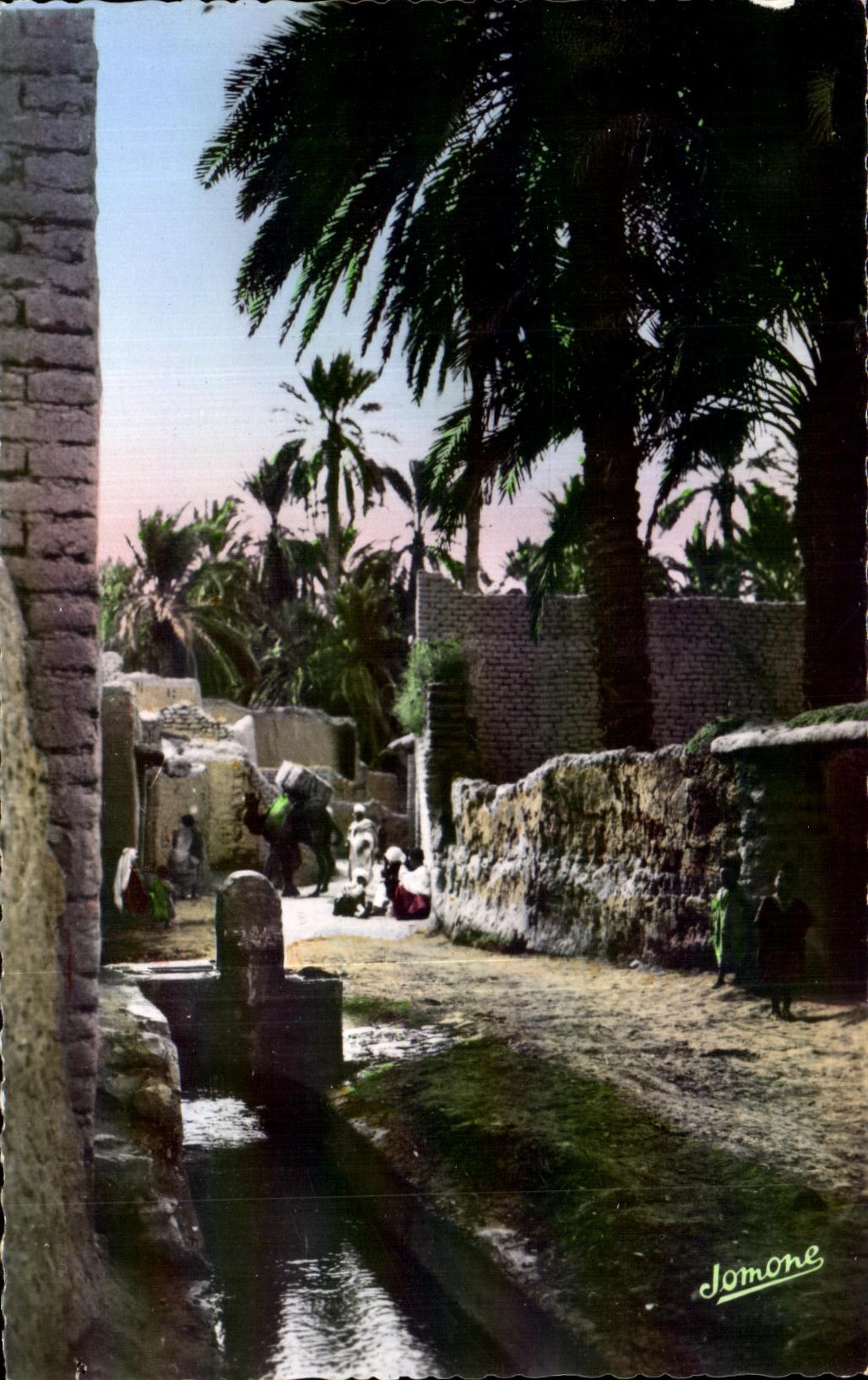 CPA Algerie Une Rue des Biskra