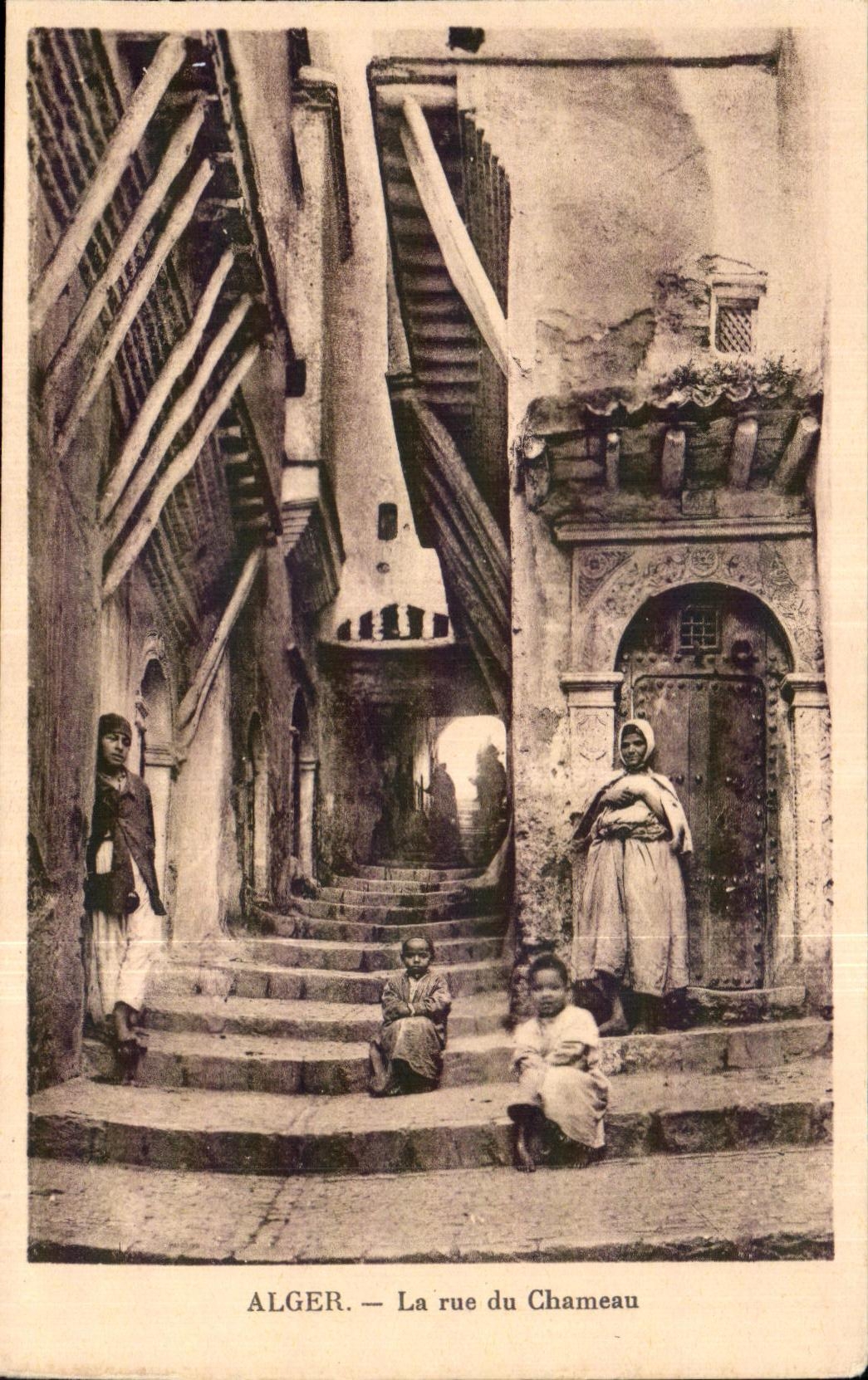 CPA Argel Argelia la calle del camello del camello