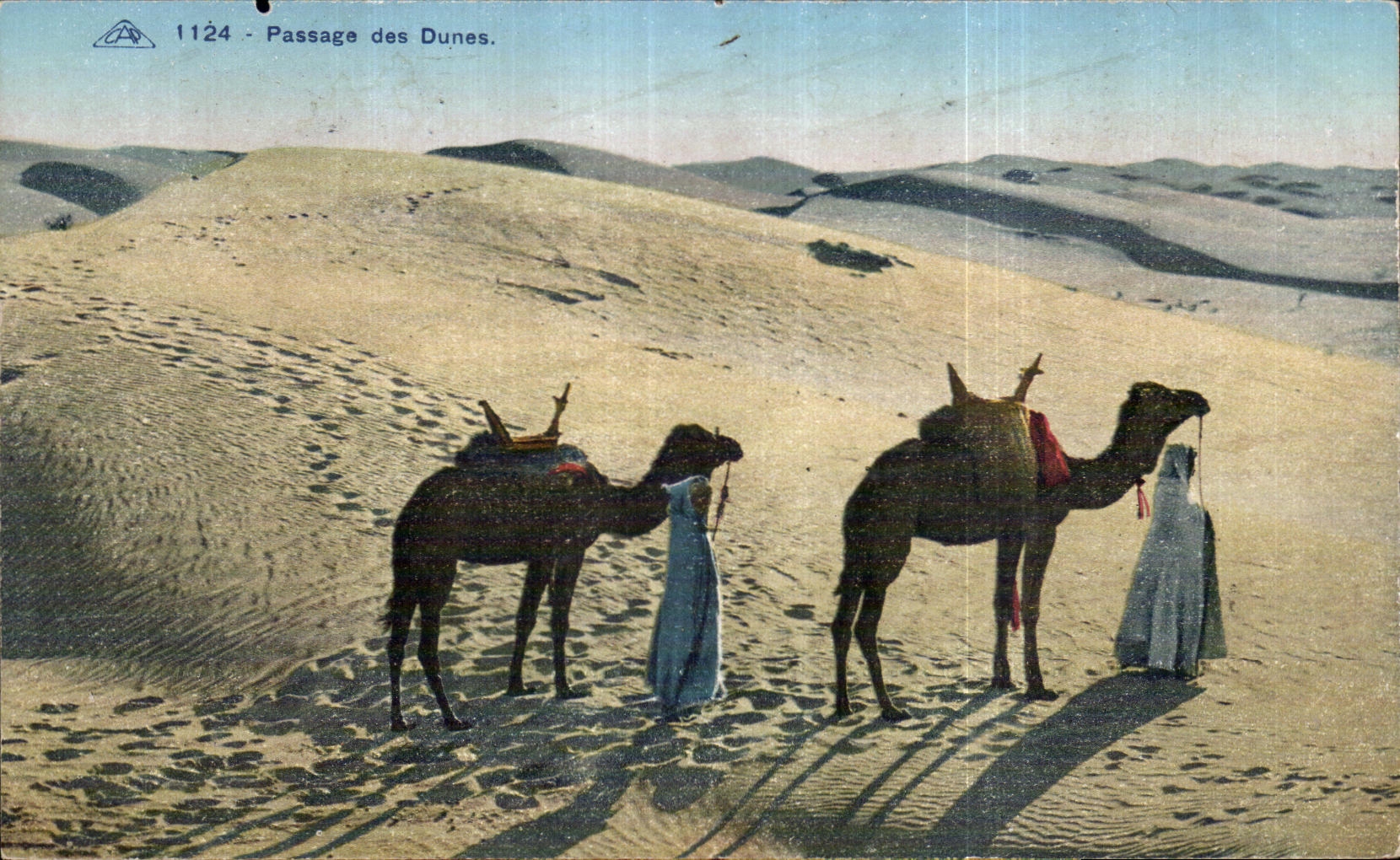 Paso de CPA Argelia del camello del camello de las dunas