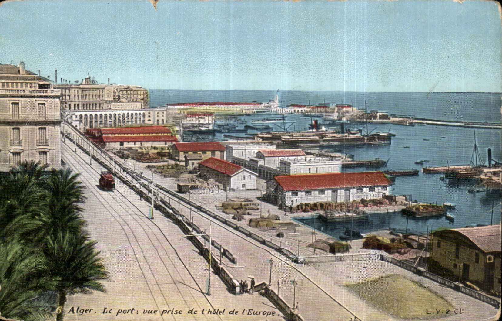 CPA Argel Argelia el puerto visto del hotel de Europa