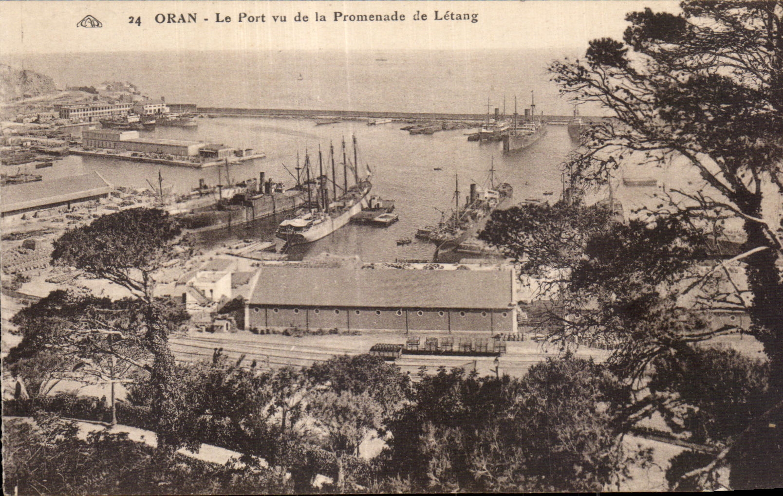 CPA Oran Algeria the port seen of the walk of pond