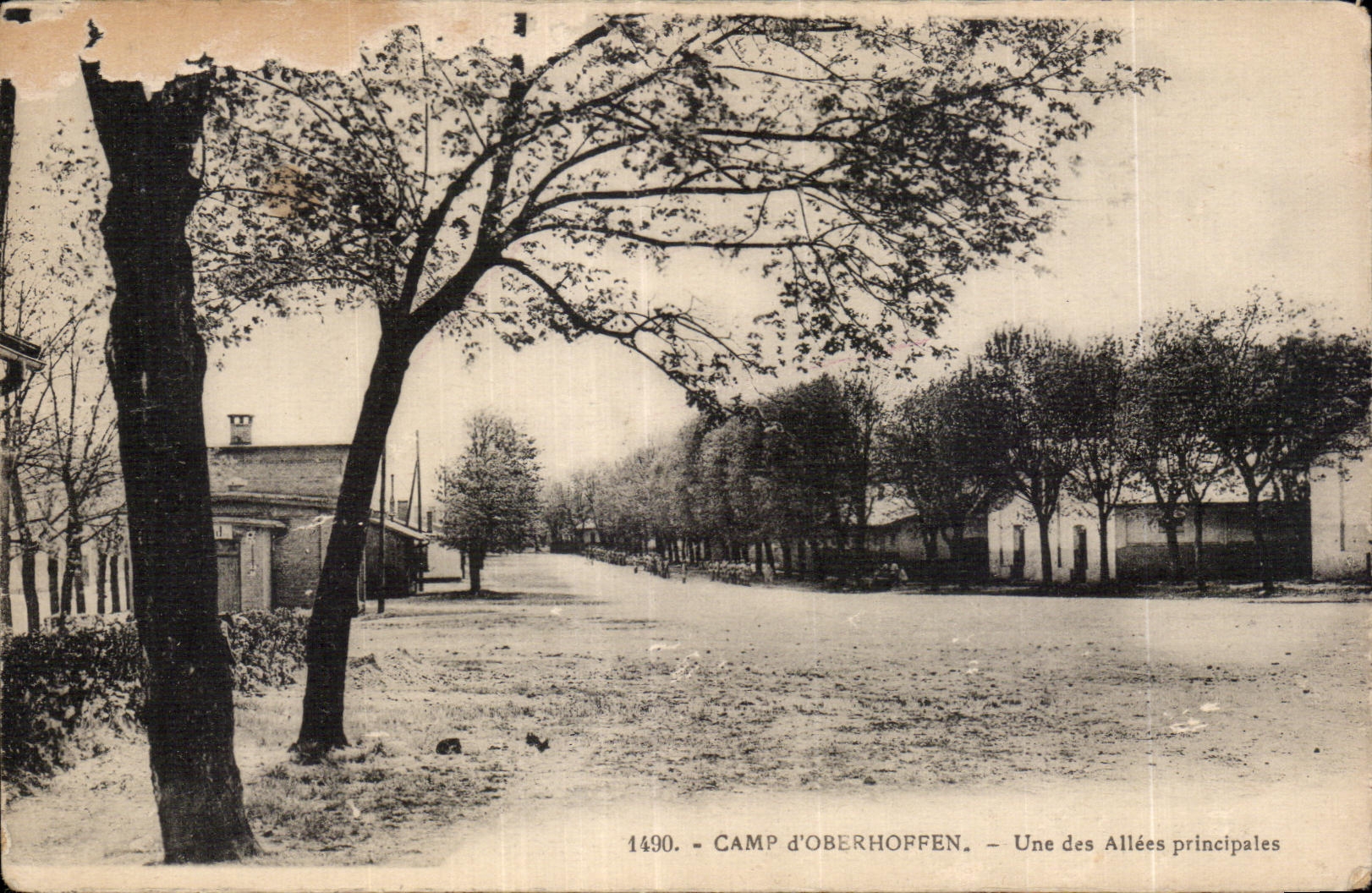 CPA Camp Oberhoffen One of the principal Alleys Militaria