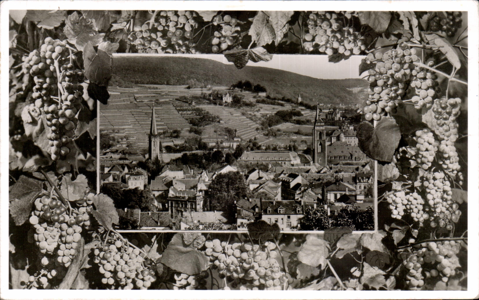 CPA Neustadt a d Weinstrasse